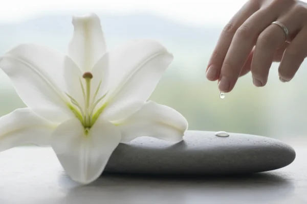 Swiss Bridal Waxing: 2026 Demand Surges 30%