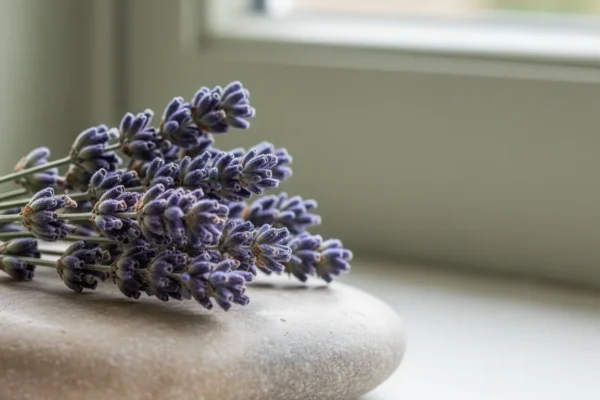 Waxing Science: Your Smoothest Skin in 2026